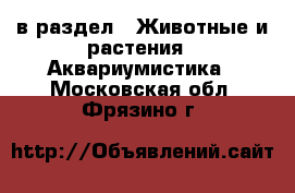  в раздел : Животные и растения » Аквариумистика . Московская обл.,Фрязино г.